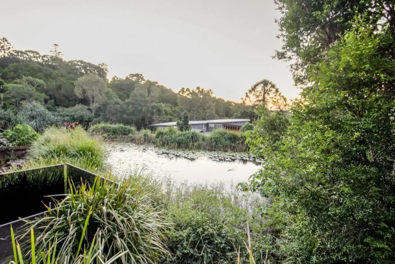 7407 Gorgeous Rainforest Outlook Apartment Noosa Heads