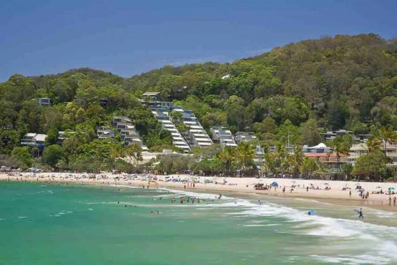 7407 Gorgeous Rainforest Outlook Apartment Noosa Heads